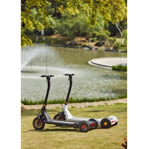China Portable 30KG 2h Charging 3 Wheel Stand Up Scooter supplier