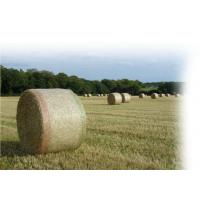 China Hdpe Raschel Knitted Round Bale Net Wrap , Agriculture Hay Bale Net on sale