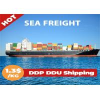 China FCL LCL International Sea Freight Forwarding , Sea Freight China To Europe on sale