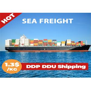 FCL LCL International Sea Freight Forwarding , Sea Freight China To Europe