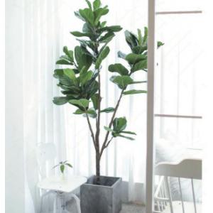 China ODM 200cm Height Artificial Potted Floor Plants Fiddle Ficus supplier