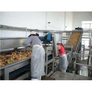 Stainless Steel SUS 304 Wire Mesh Belt Conveyor / Fruit Washing Conveyor Rust Resistant