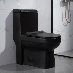 China 400mm Siphonic One Piece Toilet And Bidet Wc For Hotel Villa Apartment supplier