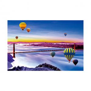 China 3d Depth 50 x 70cm Large 3D Lenticular Pictures With 0.6mm Pet Printing supplier