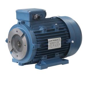 China Y2SH100L-4  Three Phase Induction Motor 2.2kw 3hp supplier