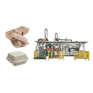 Wood Pulp Burger Container Making Machine With Trimming And Stacking Robot