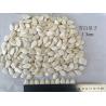 China Big Size Roasted Seeds Pumpkin Seed 13% Moisture Content Natural White Color wholesale