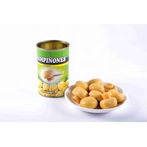 Halal / Kosher Certificate Canned Whole Mushrooms Customer Brand Available