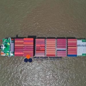 Logistics Ocean Freight Agent China Sea Forwarders Shipping FIATA