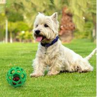 China TPR Hollow Anti Biting Stretching Pet Rubber Ball Educational on sale