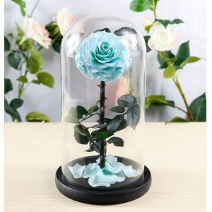 China Hot sale Natural Fresh flower rose in big long glass dome Home Decoration and Christmas gift supplier