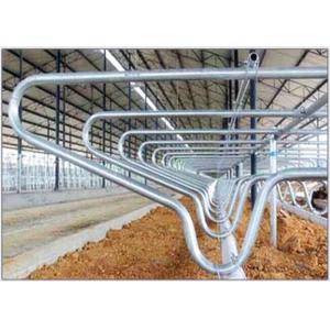 Livestock Equipment Cow Free Stall With 80µm Galvanizing Layer , Customized