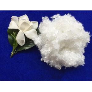 China 7Dx64MM raw white hollow conjugated siliconized polyester staple fiber in virgin grade supplier