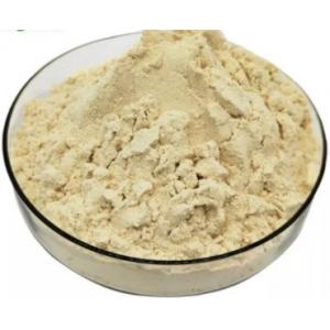 China Pure Organic Fresh Royal Jelly Lyophilized Powder 5.5% 10-HDA Honey Bee Products supplier