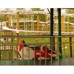 China Jungle Mouse Roller Coaster Playground Equipment Slides , 8 Persons supplier