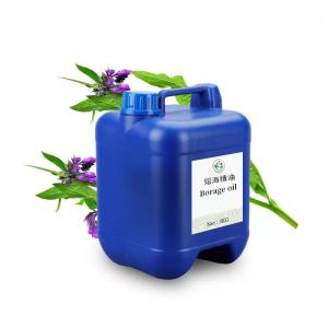 Factory Wholesale Borage Oil Gentle Natural Massage Spa Carrier Oil For babies all person