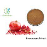 Supplements Fruit Extract Powder Natural 30% Punicalagin Pomegranate Extract
