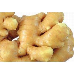 Ginger Extract, Gingerol, CAS No.: 1391-73-7, Vigna angutaris Extract, Galla Chinensis Extract,Ellagic acid ,100%natural