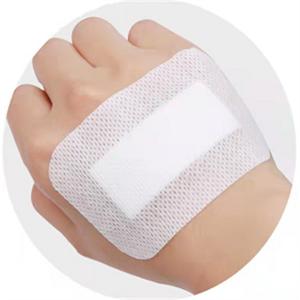ODM Highly Absorbent Dressings For High Exudate Wounds Disposable Waterproof