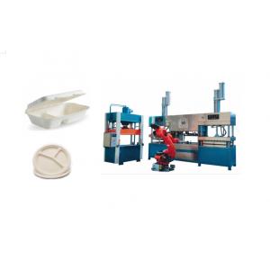 Biodegradable Pulp Molded Coffee Cup Production Line