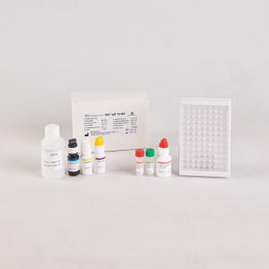 Human TNF-α Elisa Kit for RUO Test Kit/Human tumor necrosis factor Elisa Kit