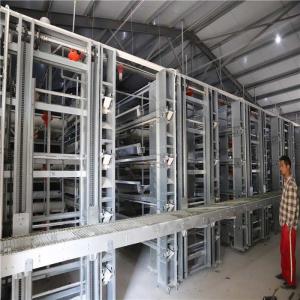 China Farm Automatic Egg Collection System No Egg Breakage For Chicken Egg Land Saving supplier