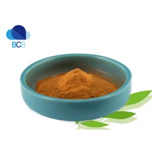 Vitamin B2 99% Riboflavin Powder Promote Development Cas 83-88-5