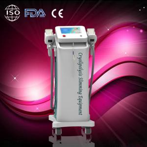 China Professional Coolsculpting / Cryolipolysis slimming machine for weight loss, body shaping supplier