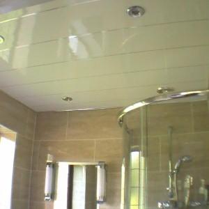 Mouldproof UPVC Wall Panels Ceiling Covering Roof For Shower