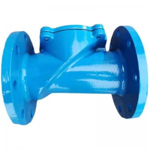 China Flanged F6 Non Return Swing Check Valve Ductile Cast Iron PN10 PN16 supplier