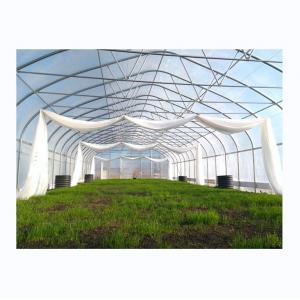 Single Span Greenhouse Simple Frame Poly Tunnel Film Greenhouse For Agricultural