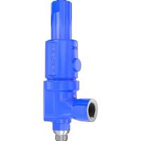 China Spring Loaded Compact Performance Type 459 Pressure Safety Valve on sale