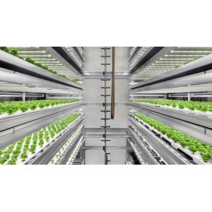 Indoor Plant LED Grow Lights 3rd Generation Customized 100 Watt Full Spectrum Grow Light