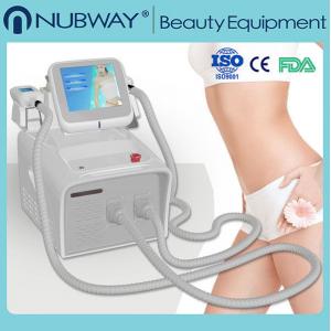 portable cryolipolysis fat freezing 3d lipo laser fast slimming machine with CE