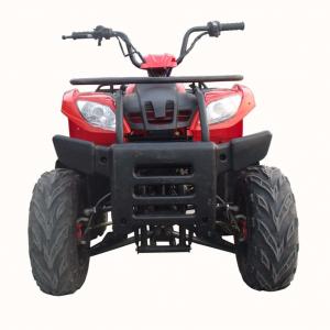 China Max. Power 7/7000 Gasoline ATV Quad Bike With Forced Air-Cooled Engine Type supplier