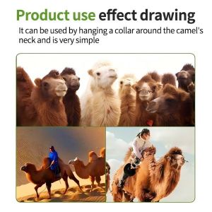 China Camel GPS Monitoring Solution Real Time GPS Tracking With Voice Intercom wholesale
