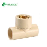 China ASTM Standard Pn16 CPVC Female Tee Brass Water Supply Type Cap and So on for Your on sale