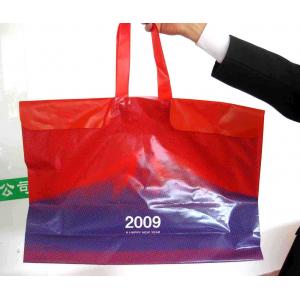 China Custom Printed Large Plastic Shopping Bags with Rope Handles / Button supplier