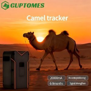 China Camel GPS Monitoring Solution Real Time GPS Tracking With Voice Intercom wholesale