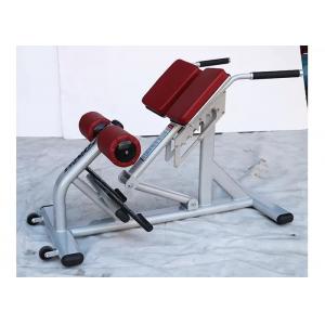 Pro Commercial Gym Rack Exercise Equipment Back Extension Bench