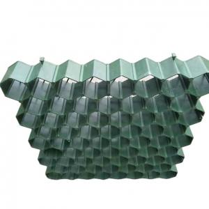 China Geocells and Honeycomb HDPE Grass Grid for Paver The Perfect Park Combination supplier