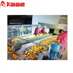 China 750W Automatic Fruit Sorting Machine 304 Roller Elevator Transportation Machine Heavy Duty Conveyor Rollers supplier