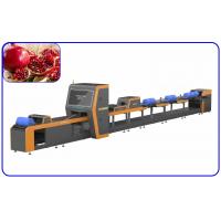 China 1 Channel Mechanical Pomegranate Sorting Grading Machine Computer Control on sale