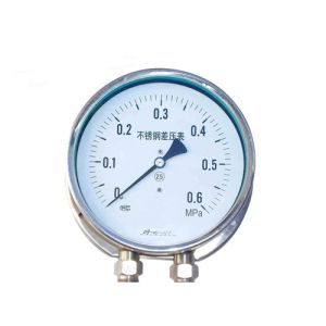 China Mini Digital Pressure Gauge High Temperature Compatibility and Indirect Measurement Structure for Accurate Pressure Measurement wholesale