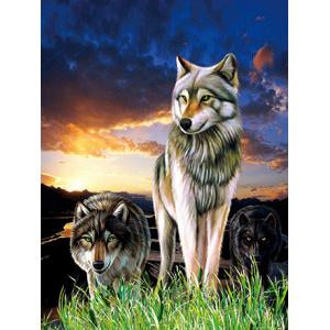 0.6mm PET+157g Coated Paper 3D Lenticular Pictures / 3D Lenticular Wall Art