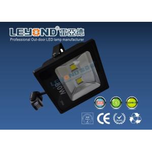 China El poder más elevado negro de aluminio PIR llevó la luz de inundación al aire libre con el sensor supplier