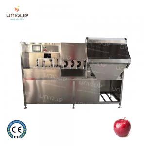 Fruit Peeling Function Commercial Electric Apple Peeler Corer Slicer 2500*1000*1500 mm