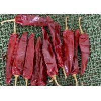 China Mexican Food Dried Guajillo Chili 5000SHU Dried Red Peppers Paprika on sale