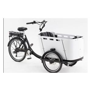 250W Kid / Cargo Electric Delivery Tricycle With Canopy