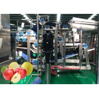 China ISO9001 50 T/D Automatic Apple Production Line 304 Stainless Steel on sale